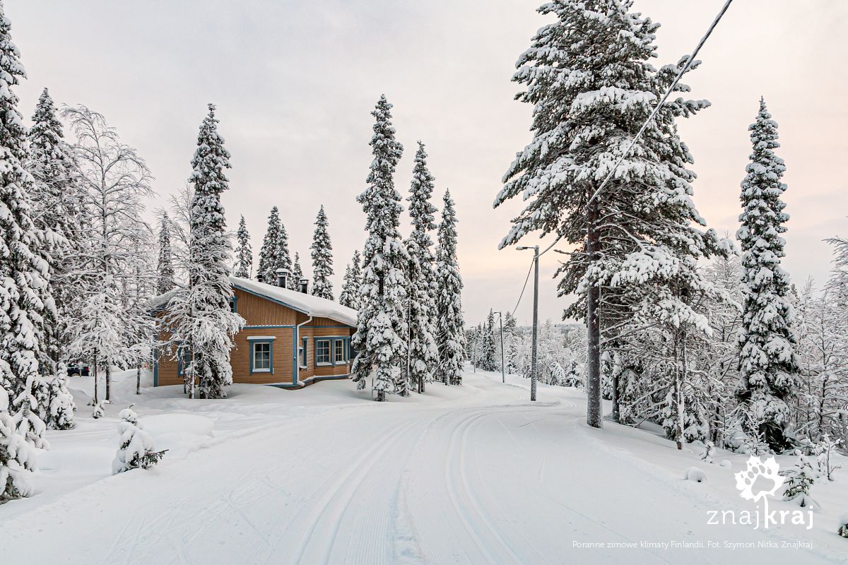 Poranne zimowe klimaty Finlandii Poranne zimowe klimaty Finlandii