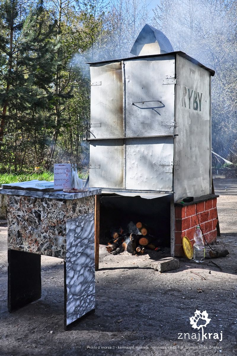 Prosto z morza ;) - karmazyn, makrela, nototenia, śledź Prosto z morza ;) - karmazyn, makrela, nototenia, śledź