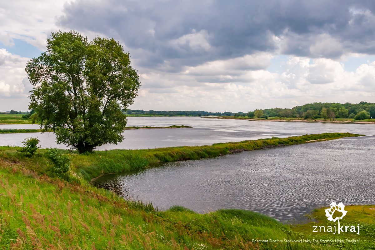 Rezerwat Biosfery Środkowej Łaby