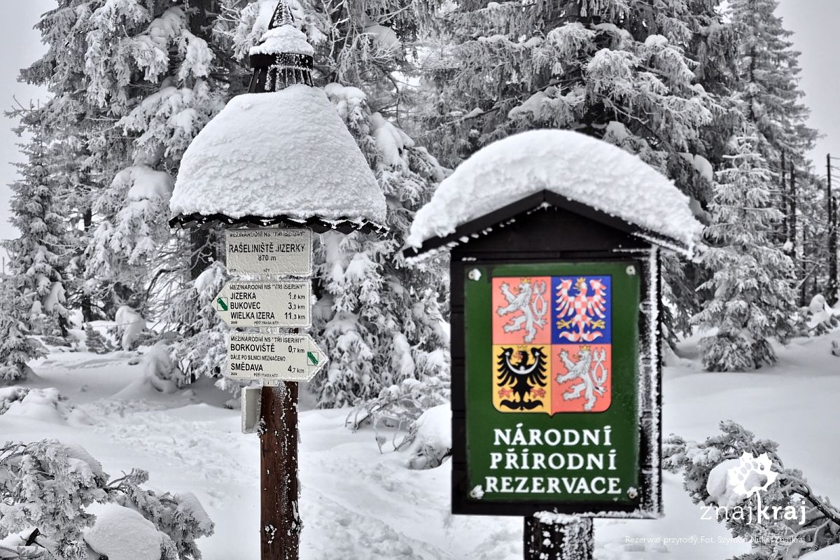 Rezerwat przyrody Rezerwat przyrody