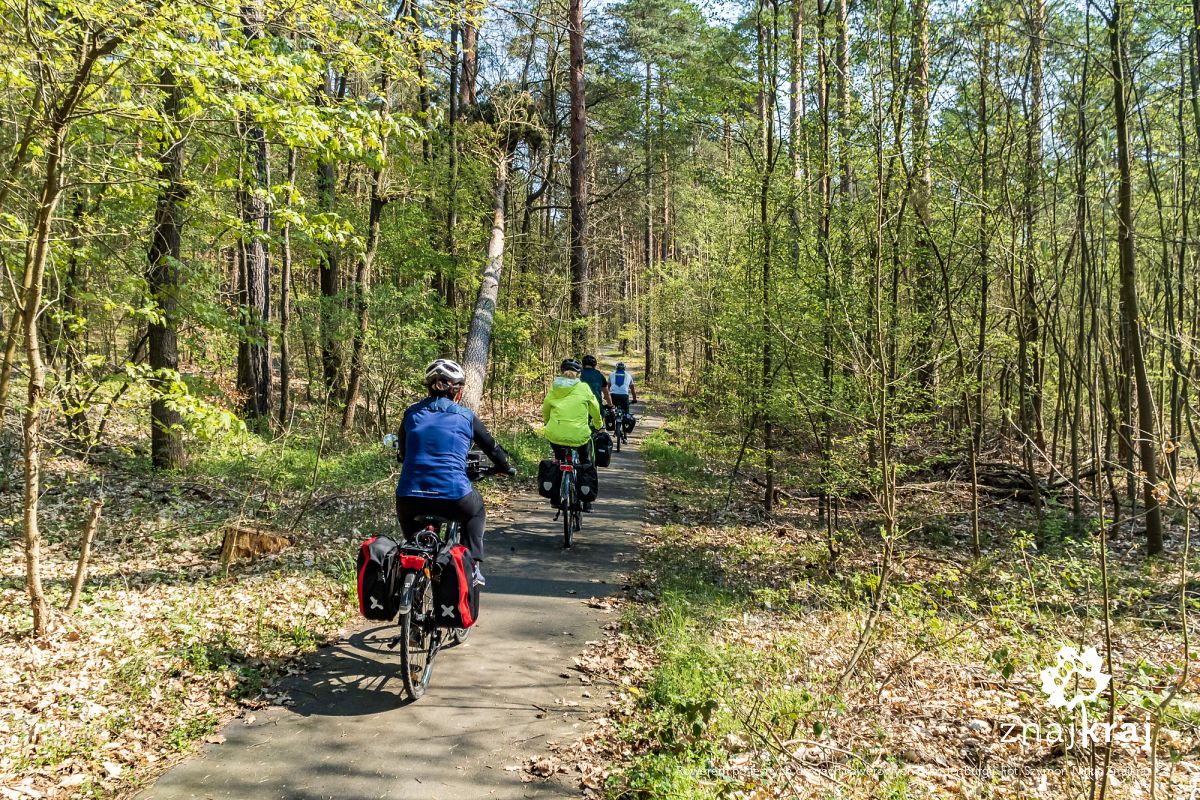 Rowerem po leśnych drogach rowerowych Brandenburgii