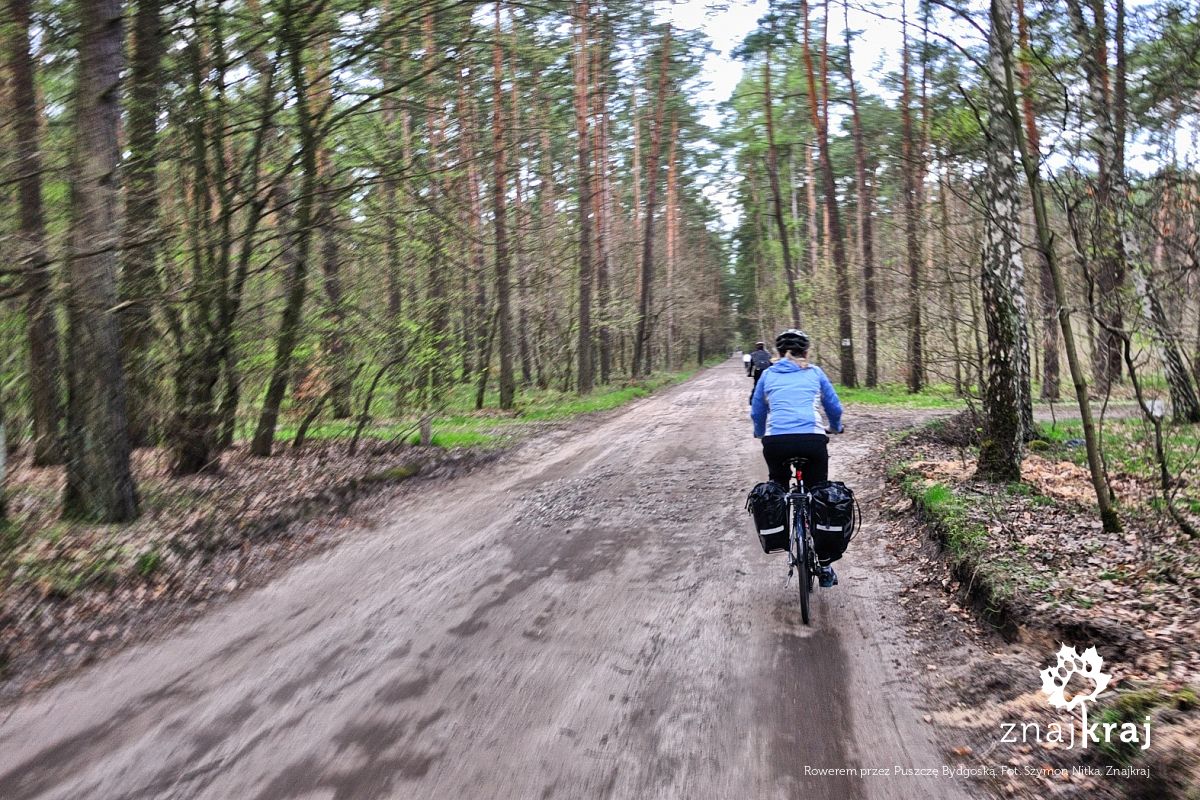 Rowerem przez Puszczę Bydgoską Rowerem przez Puszczę Bydgoską