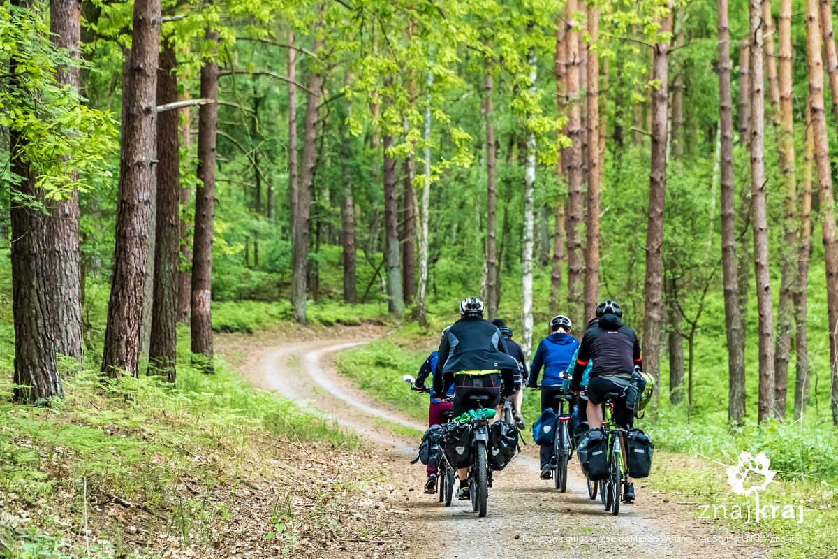 Rowerowa grupa w lesie na Mierzei Wiślanej
