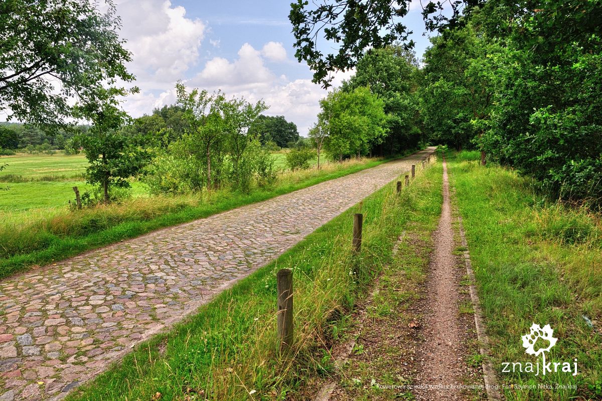 Rowerowa ścieżka wzdłuż brukowanej drogi