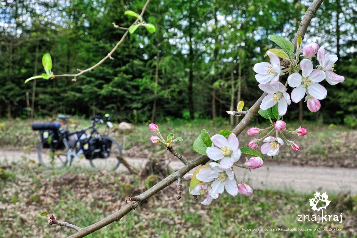 Rowerowa wiosna na Kaszubach