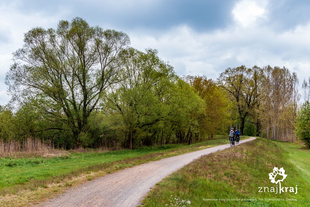 Rowerowe trasy po rzecznych wałach