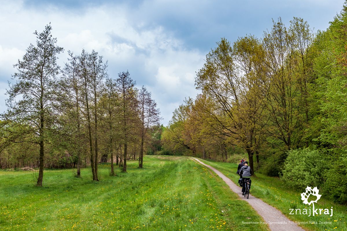 Rowerowe trasy Spreewaldu