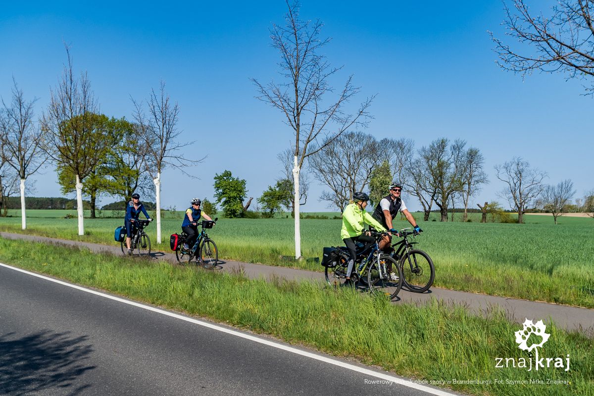 Rowerowy trakcik obok szosy w Brandenburgii