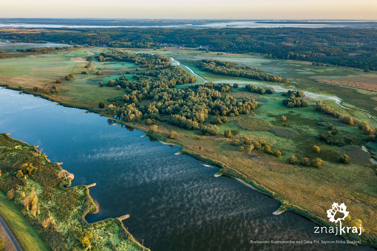Rozlewisko Kostrzyneckie nad Odrą