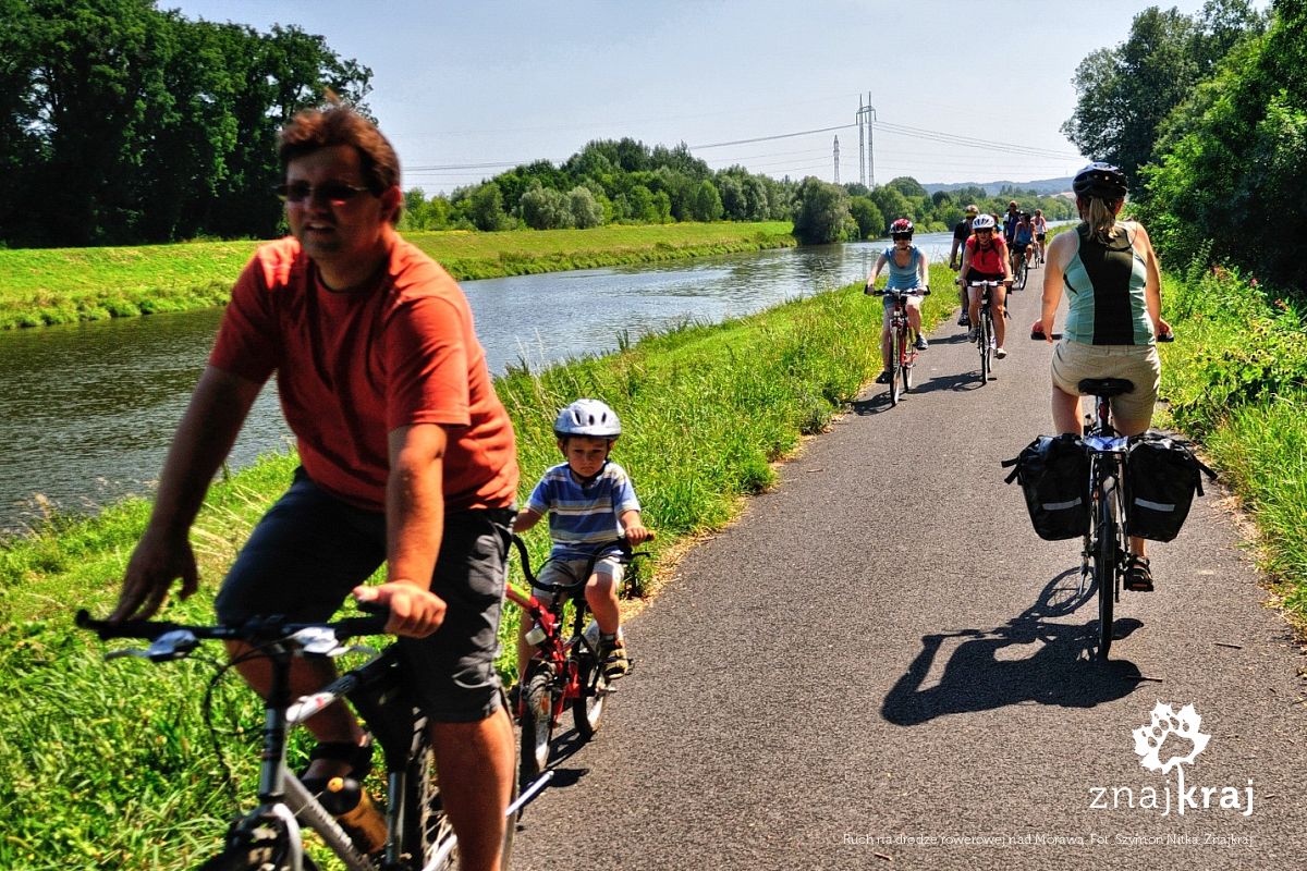 Ruch na drodze rowerowej nad Morawą Ruch na drodze rowerowej nad Morawą