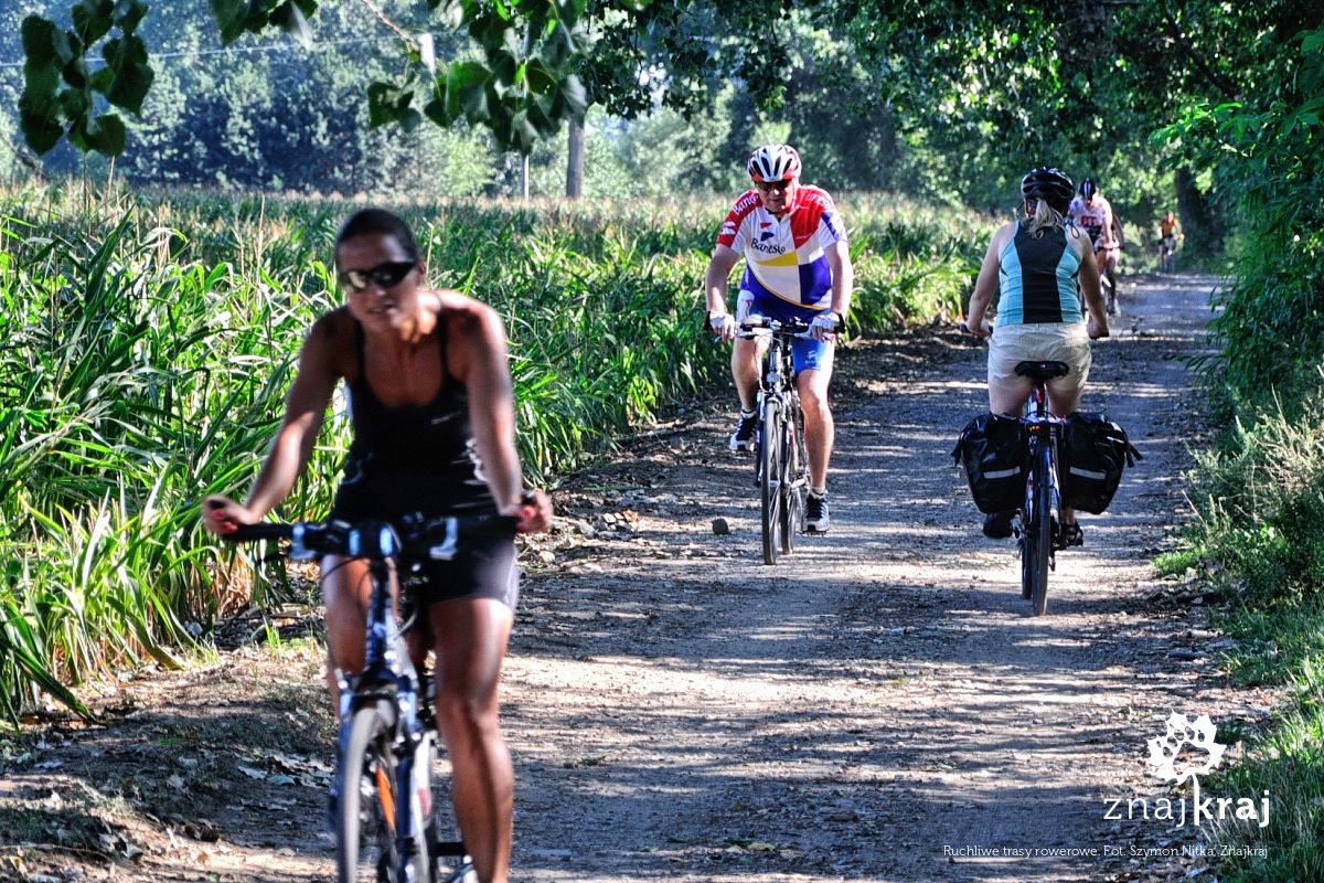Ruchliwe trasy rowerowe Ruchliwe trasy rowerowe