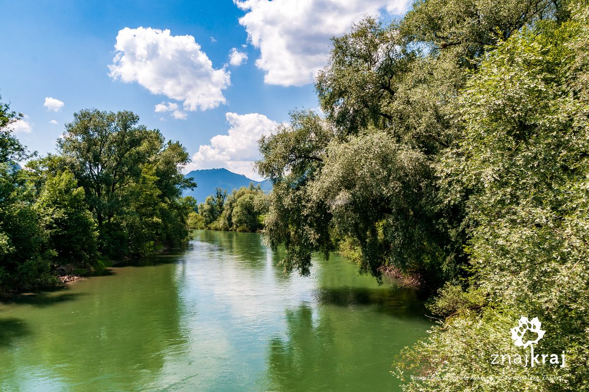 Rzeka Enns w Styrii w Austrii