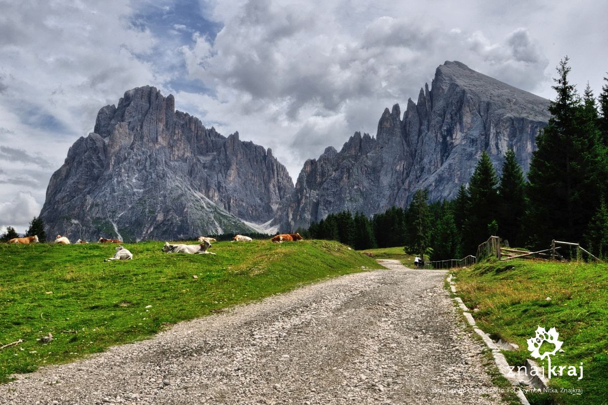 Sasso Lungo i Sasso Piatto Sasso Lungo i Sasso Piatto