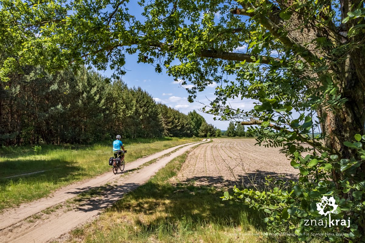 Scena z rowerowej Pętli Wzgórz Krośnickich