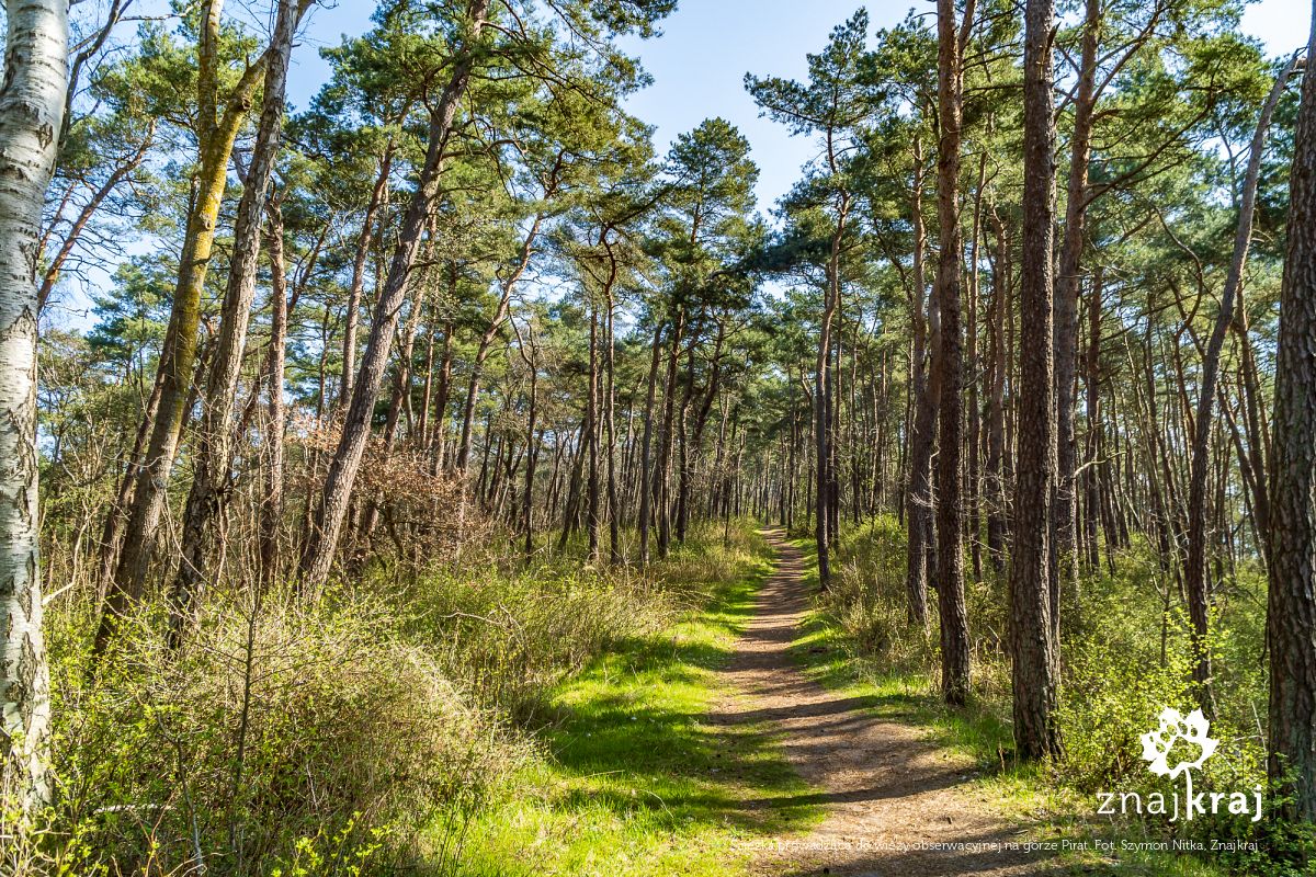 Ścieżka prowadząca do wieży obserwacyjnej na górze Pirat