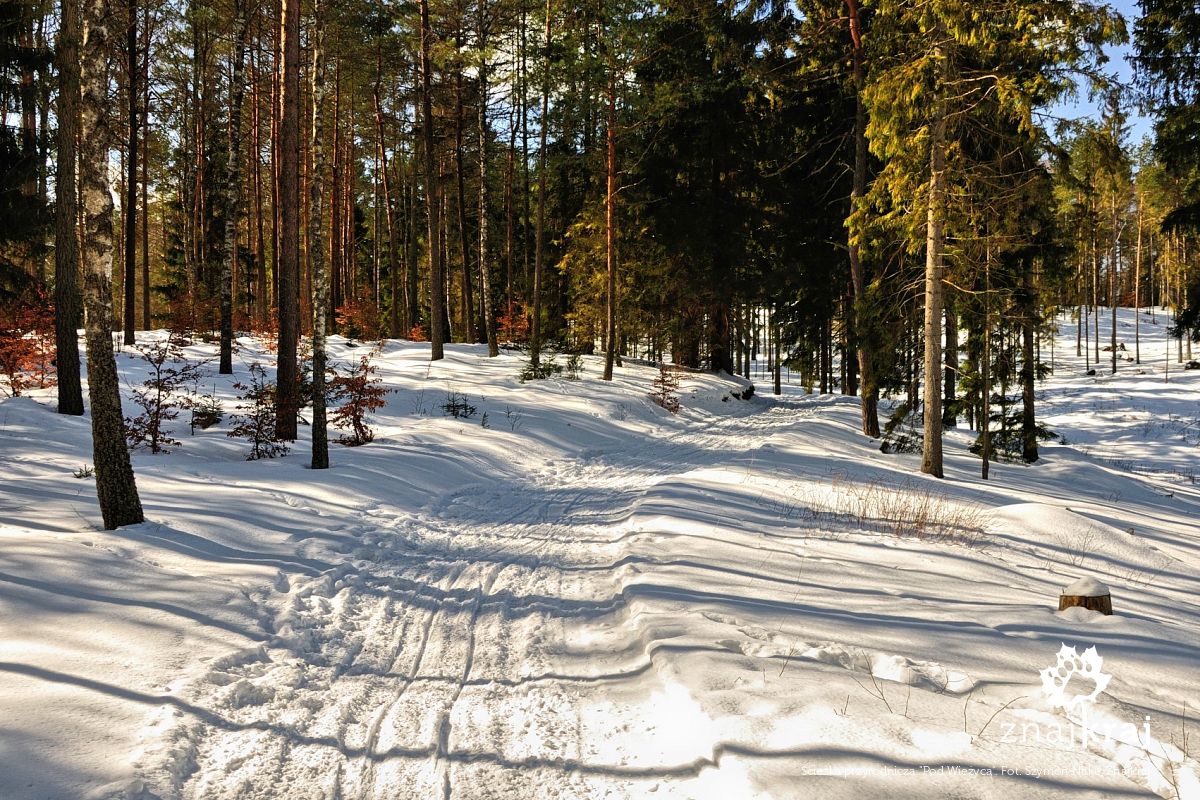Ścieżka przyrodnicza "Pod Wieżycą" Ścieżka przyrodnicza "Pod Wieżycą"