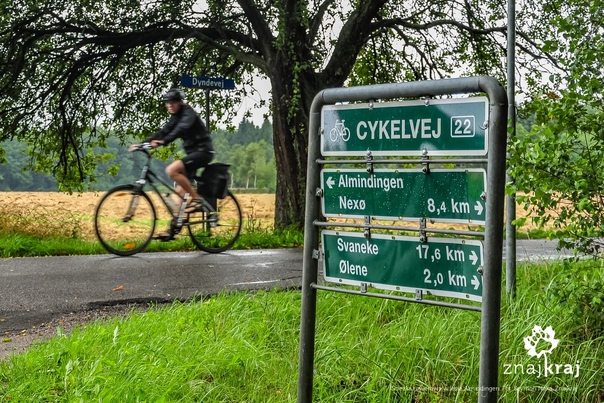 Ścieżka rowerowa w lesie Almindingen