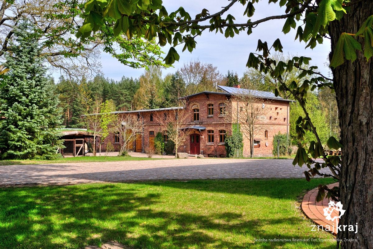 Siedziba nadleśnictwa Reiersdorf Siedziba nadleśnictwa Reiersdorf