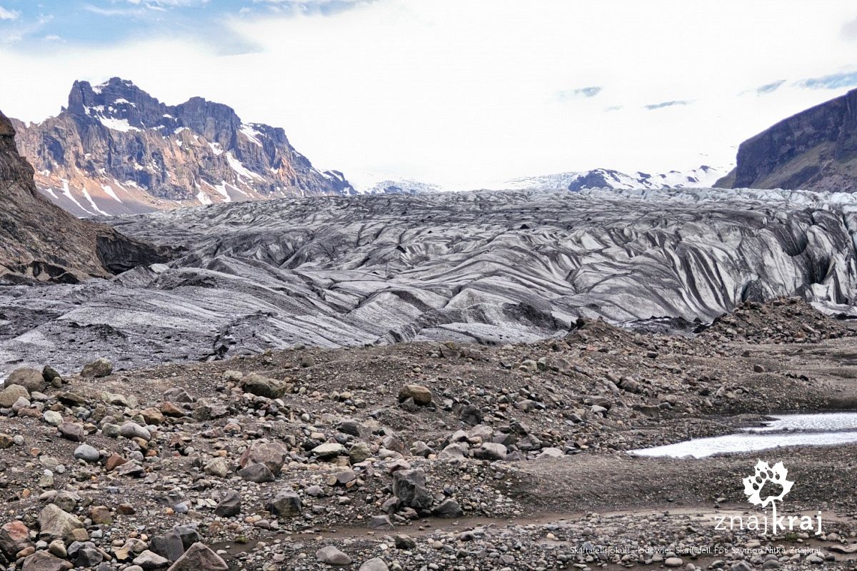 Skaftafellsjökull - lodowiec Skaftafell Skaftafellsjökull - lodowiec Skaftafell