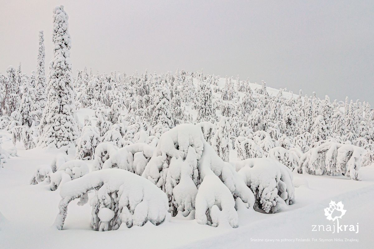 Śnieżne zjawy na północy Finlandii