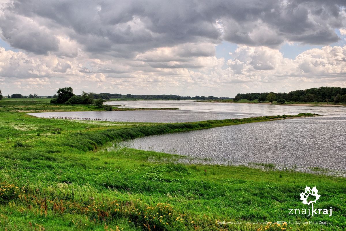 Środkowa Łaba - rezerwat biosfery UNESCO