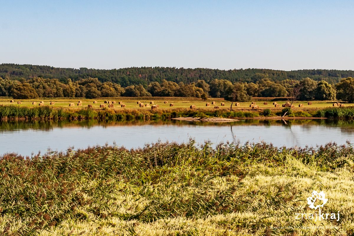 Stogi nad odrą