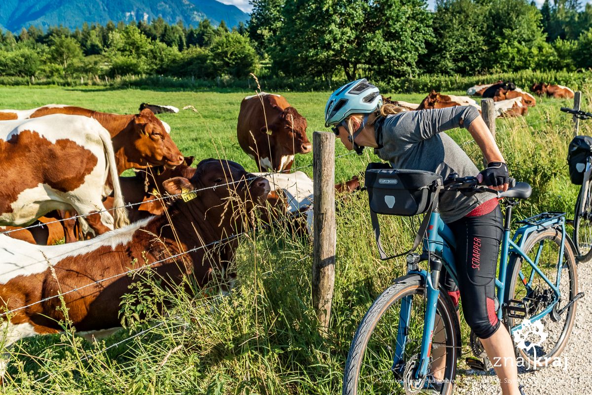 swojskie-klimaty-nad-jeziorem-chiemsee-c