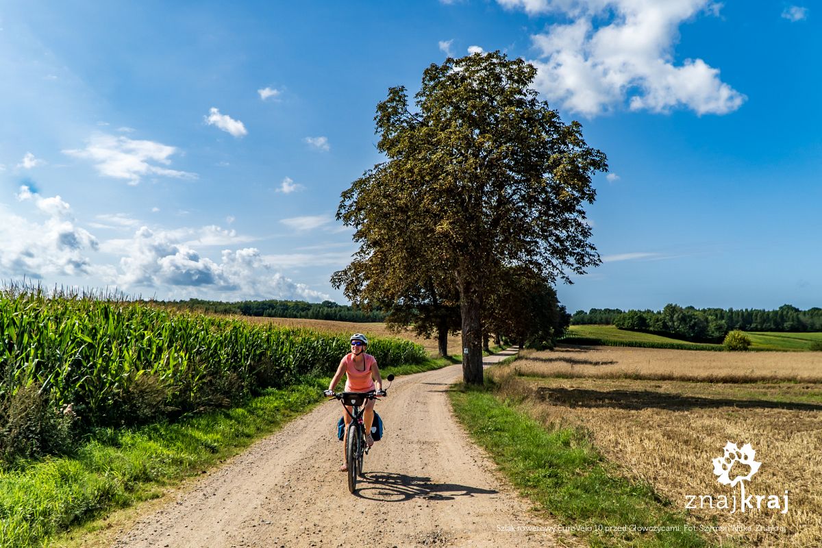 Szlak rowerowy EuroVelo 10 przed Główczycami