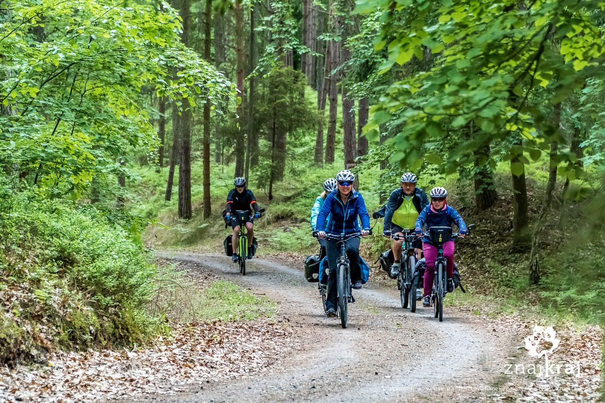 Szlak rowerowy w lesie na Mierzei Wiślanej