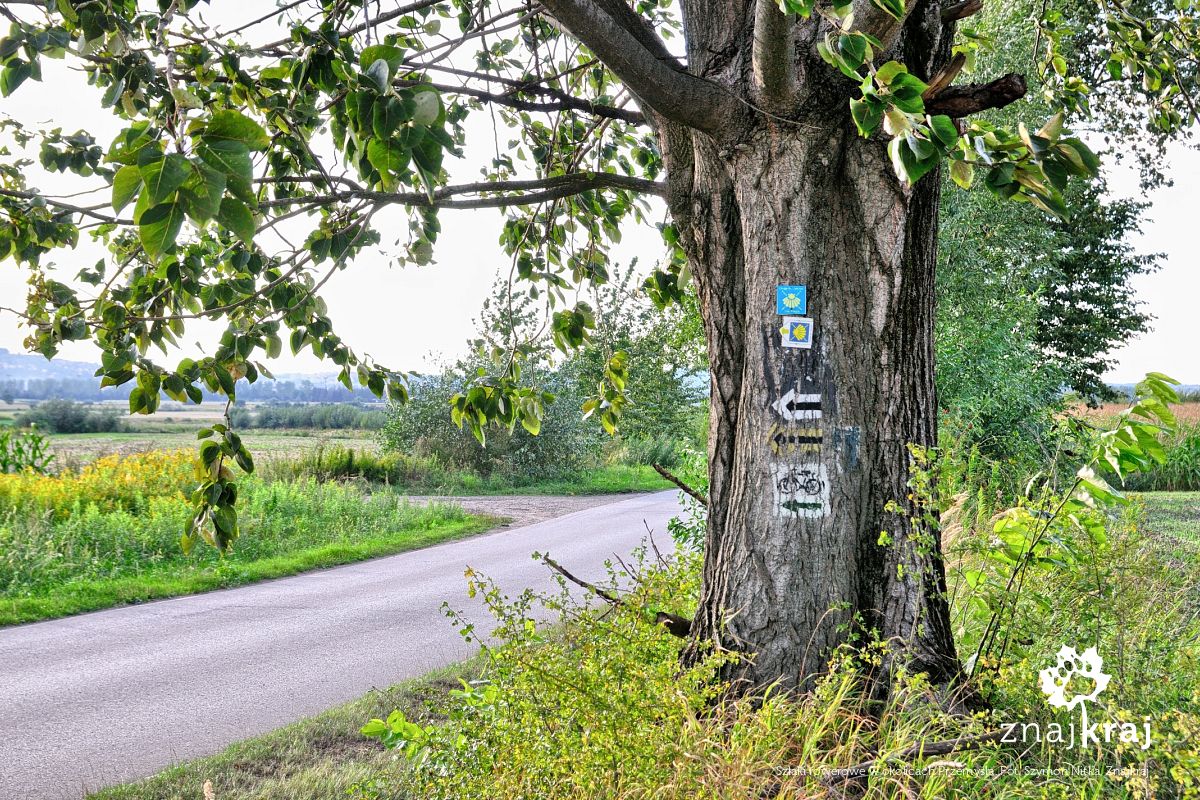 Szlaki rowerowe w okolicach Przemyśla