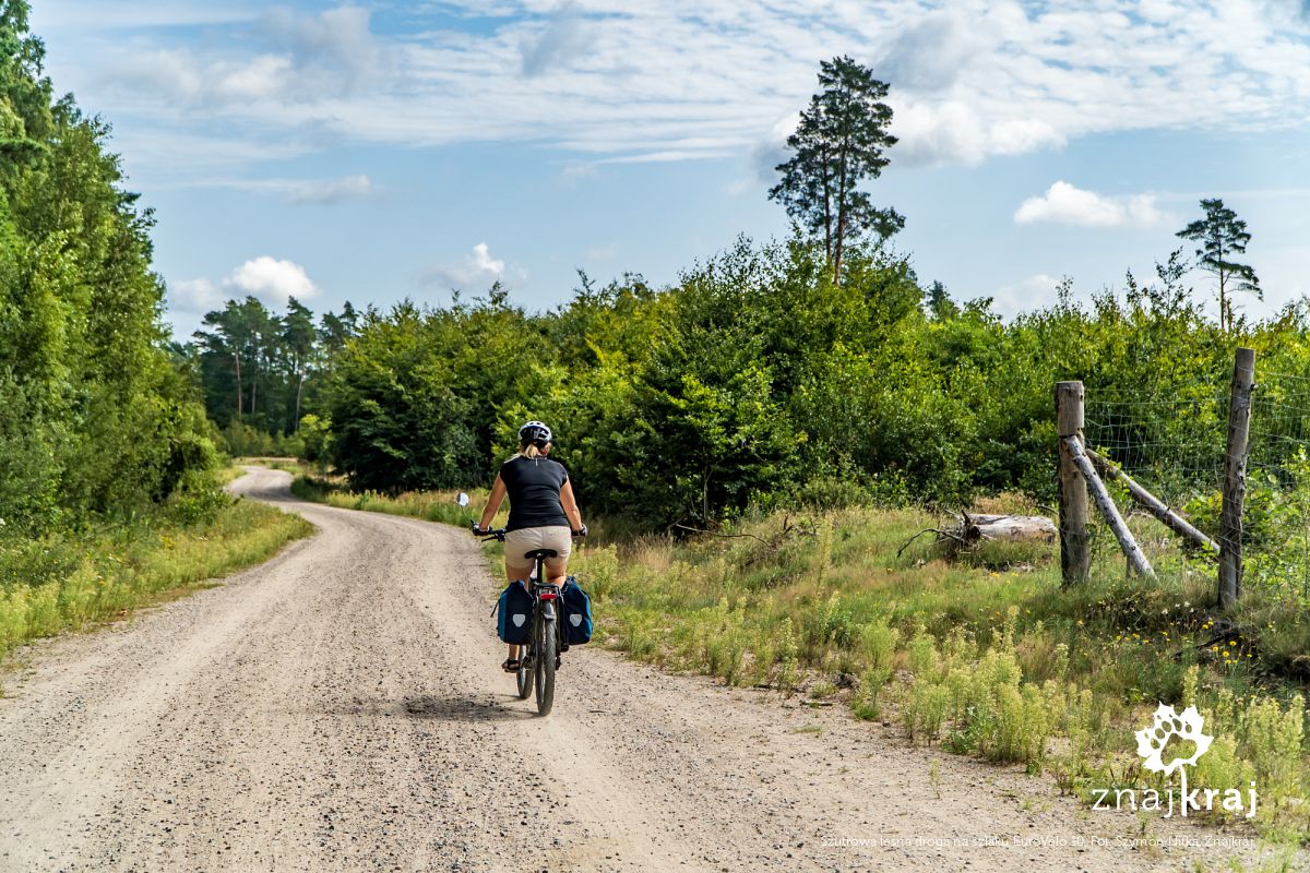 Szutrowa leśna droga na szlaku EuroVelo 10