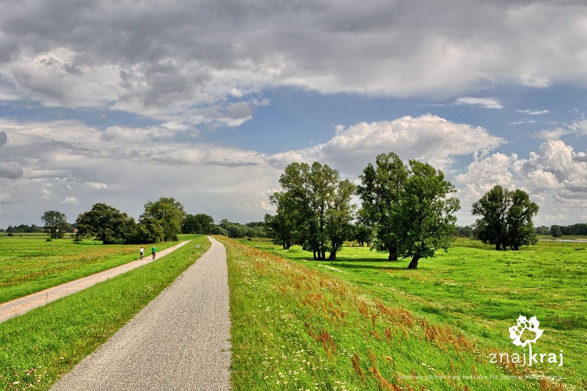 Szutrowy odcinek trasy nad Łabą