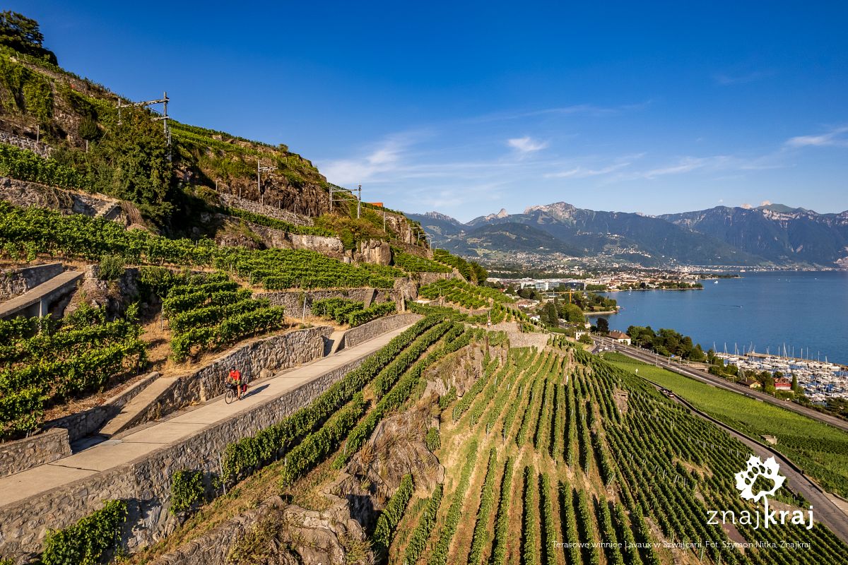 Terasowe winnice Lavaux w Szwajcarii