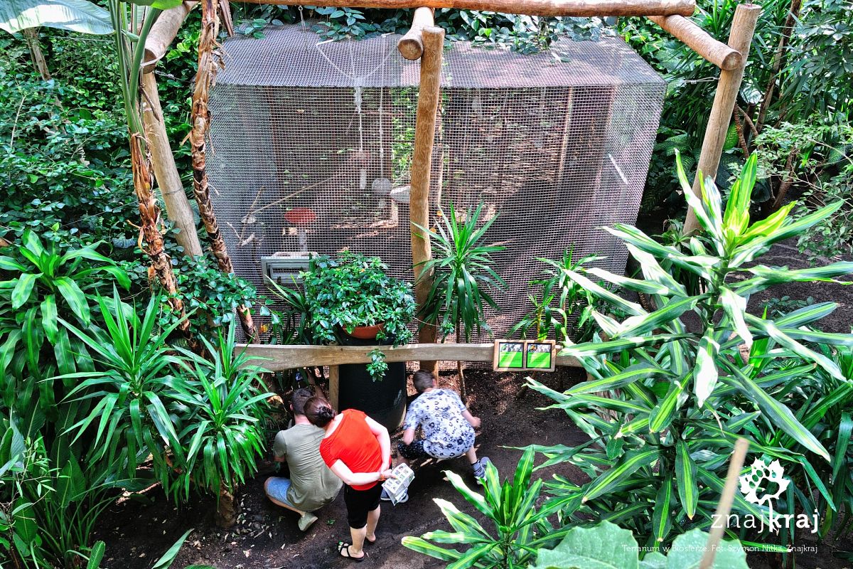 Terrarium w Biosferze