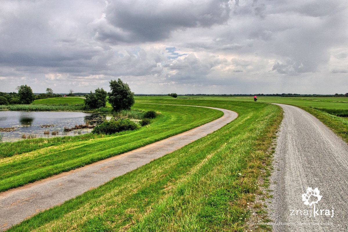 Trakty rowerowe nad Łabą