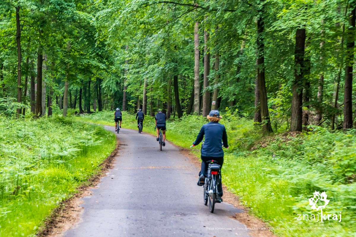 Trasa rowerowa w Tenczyńskim Parku Krajobrazowym