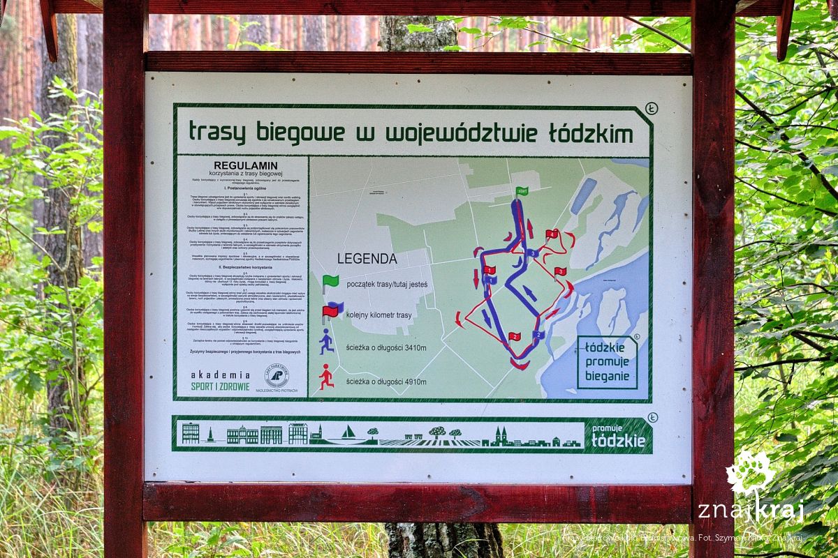 Trasy biegowe koło Bronisławowa Trasy biegowe koło Bronisławowa
