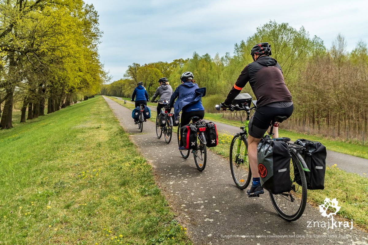 Turyści rowerowi na szlaku rowerowym nad Odrą