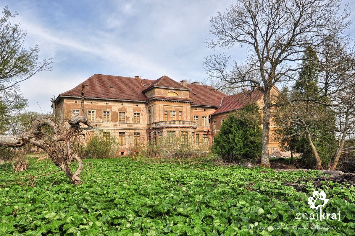 Tył pałacu w Zdrzewnie Tył pałacu w Zdrzewnie