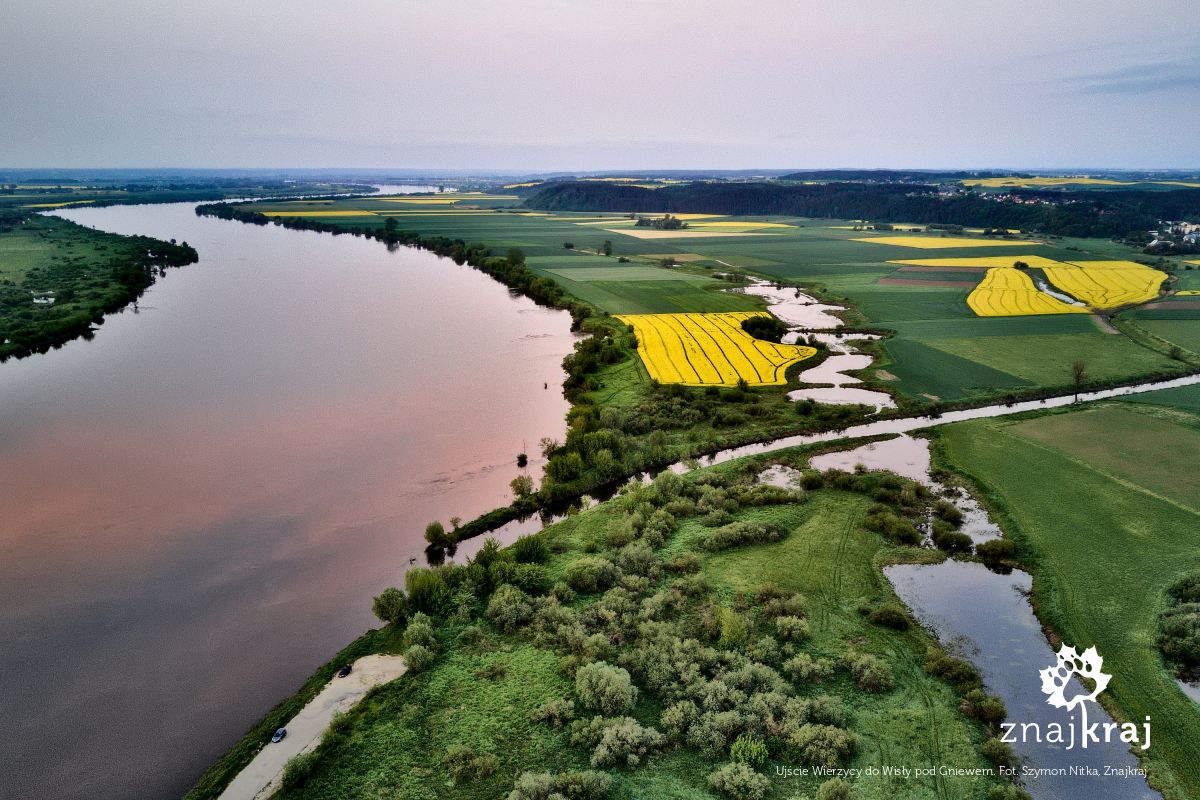 Ujście Wierzycy do Wisły pod Gniewem