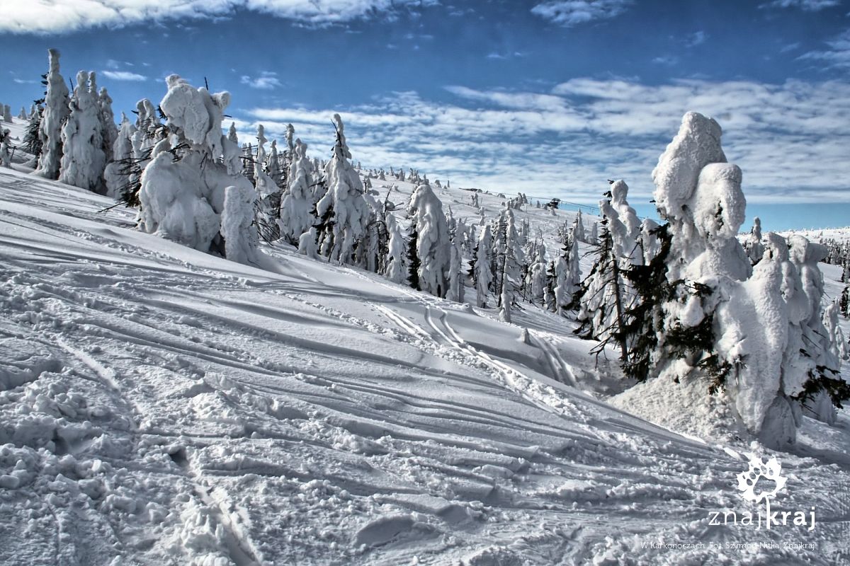 W Karkonoszach W Karkonoszach