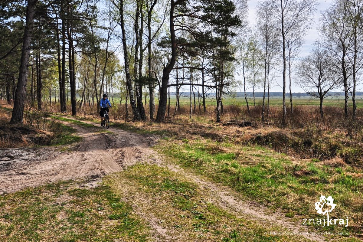 W okolicach Słajszewa W okolicach Słajszewa