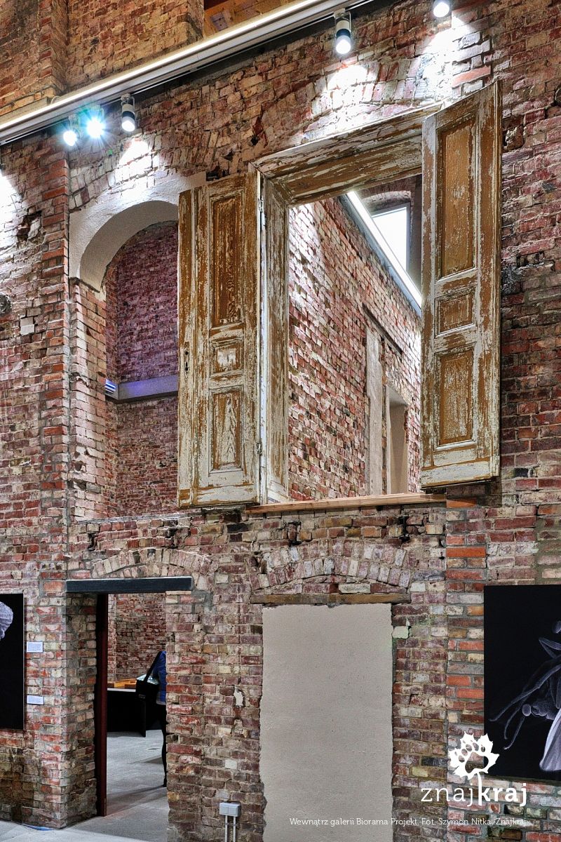 Wewnątrz galerii Biorama Projekt Wewnątrz galerii Biorama Projekt