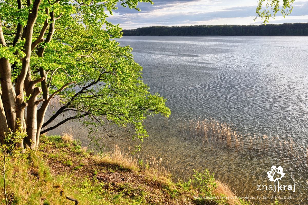 Widok na jezioro z kempingu Półwysep Lipa Widok na jezioro z kempingu Półwysep Lipa