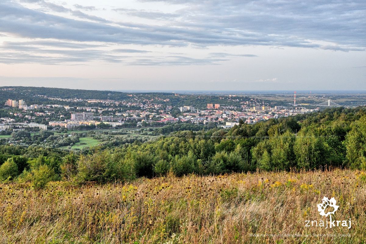 Widok na Przemyśl i dolinę Sanu