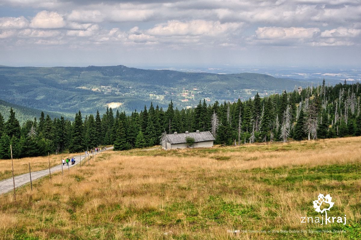 Widok z Hali Szrenickiej, w dole Biała Dolina Widok z Hali Szrenickiej, w dole Biała Dolina
