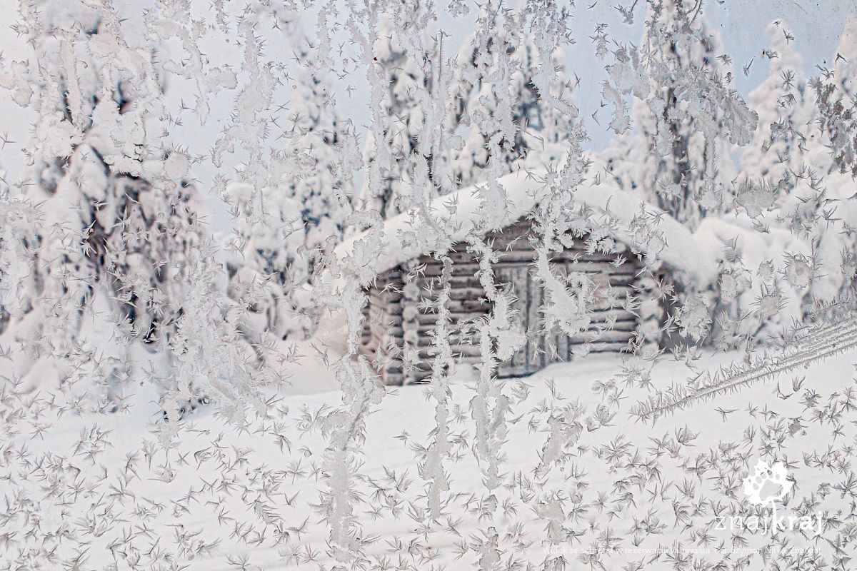 Widok ze schronu w rezerwacie Valtavaara Widok ze schronu w rezerwacie Valtavaara
