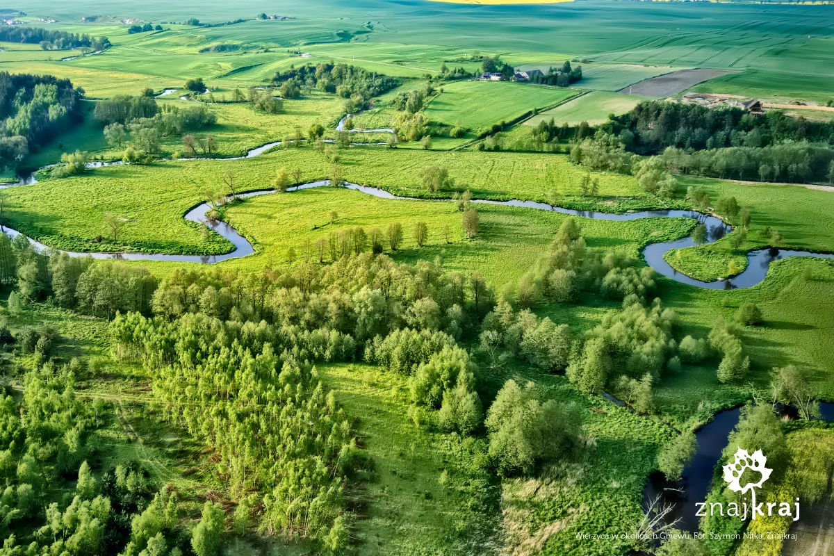 Wierzyca w okolicach Gniewu