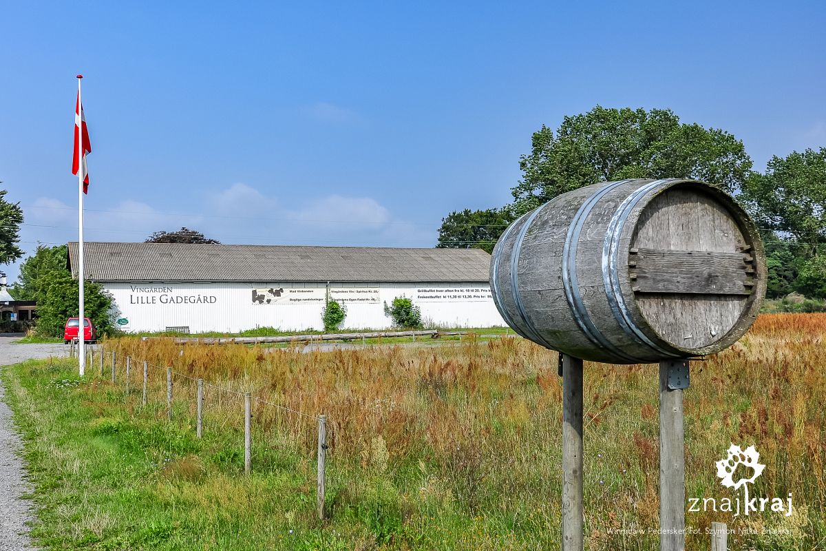 Winnica w Pedersker