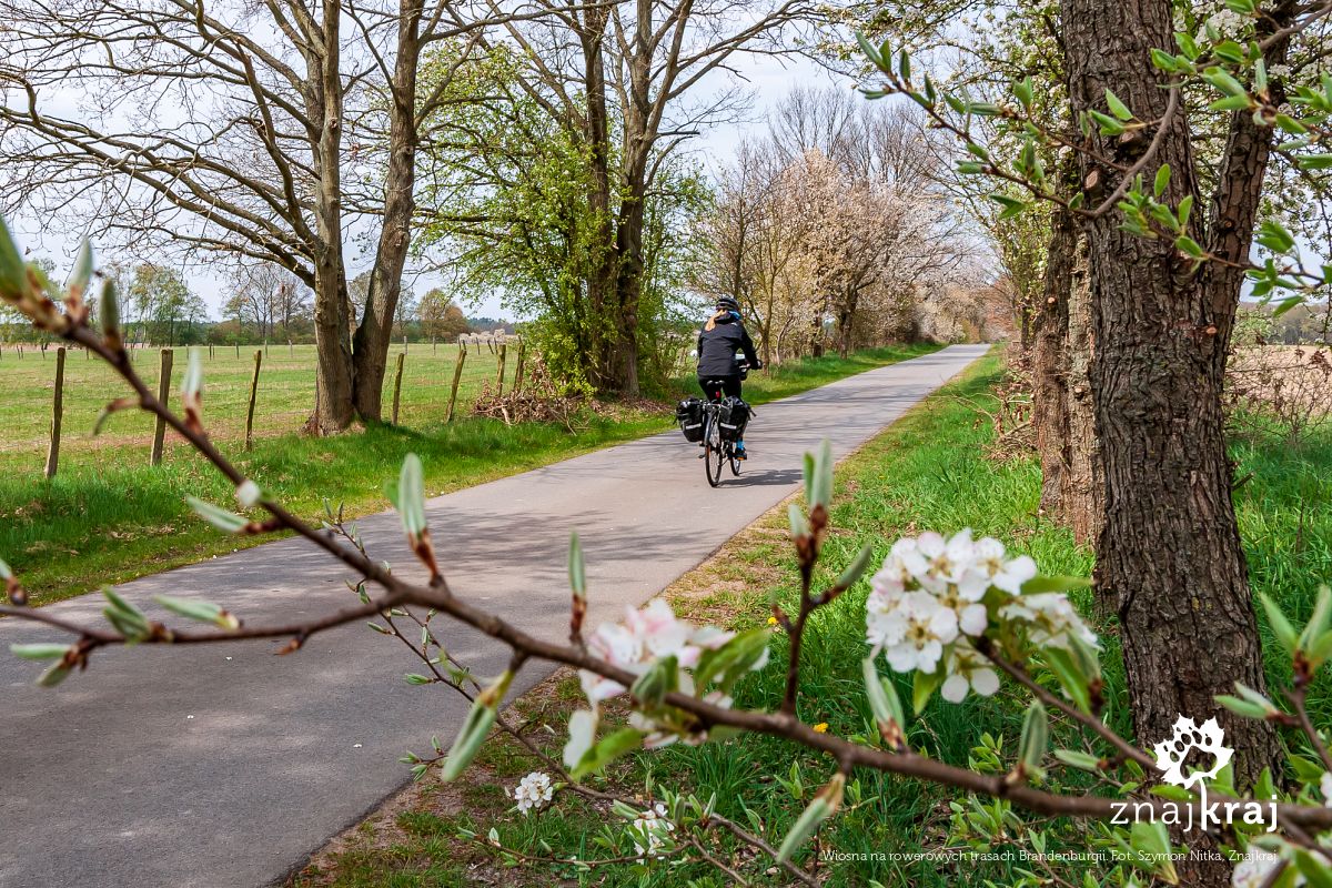 Wiosna na rowerowych trasach Brandenburgii
